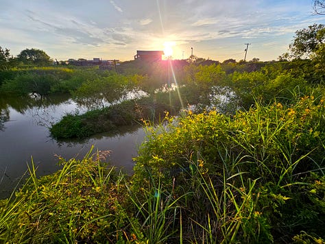 Life estates and stewards to replace us in an Embassy for what could be if Wii join together as One.