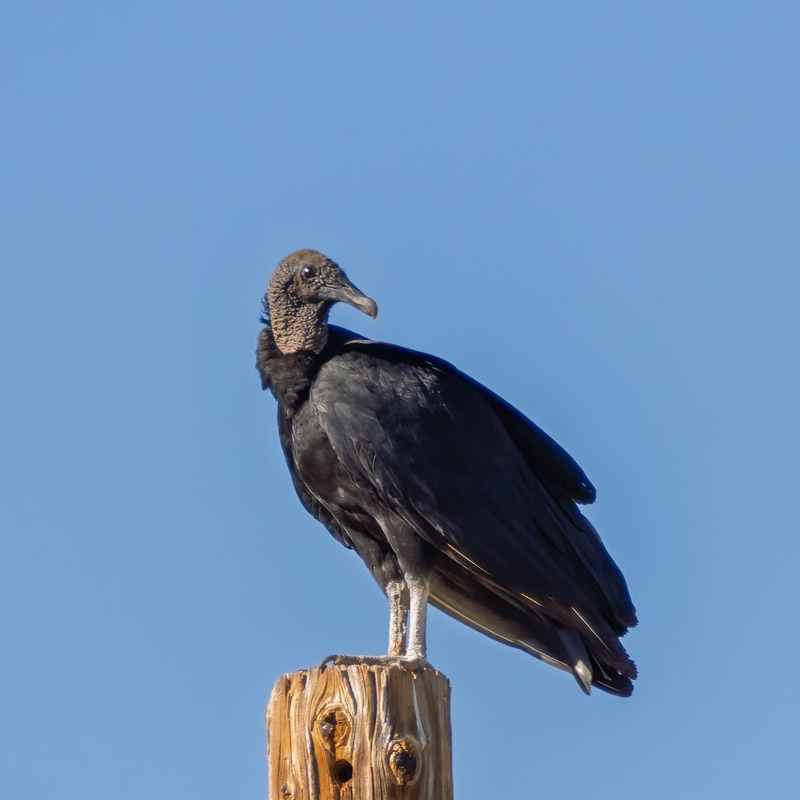 20250930-Manville-157-Edit.jpg