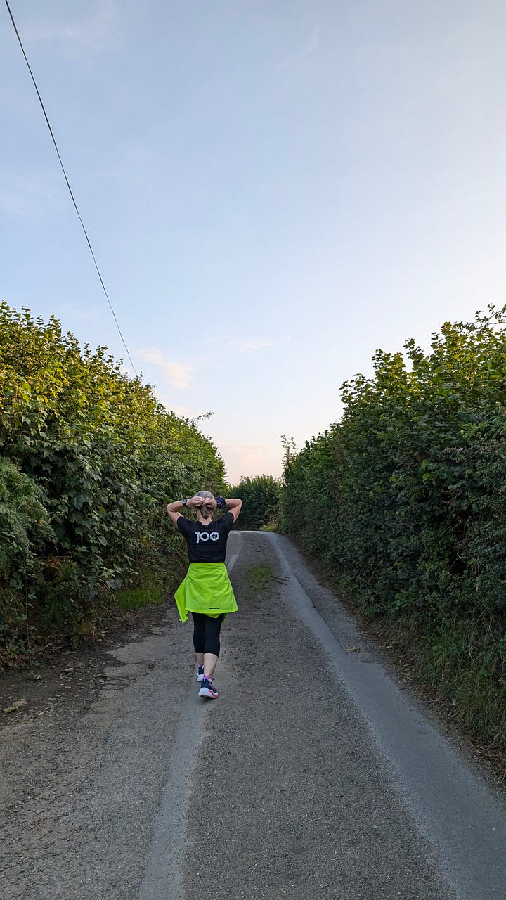 photos of narrow rural lanes in Devon