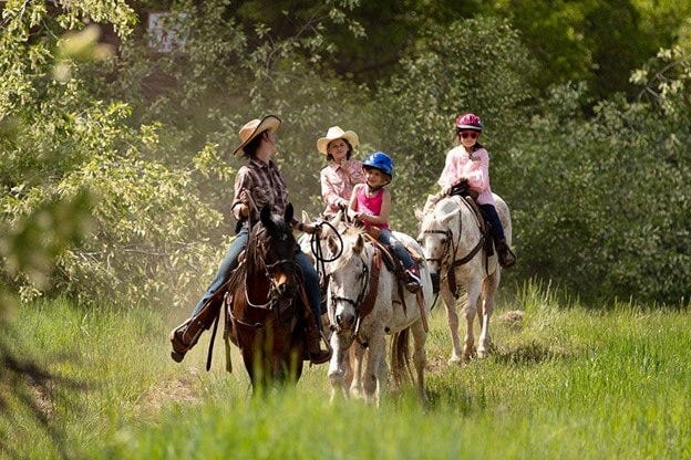 learn to ride a horse learn to ride a horse