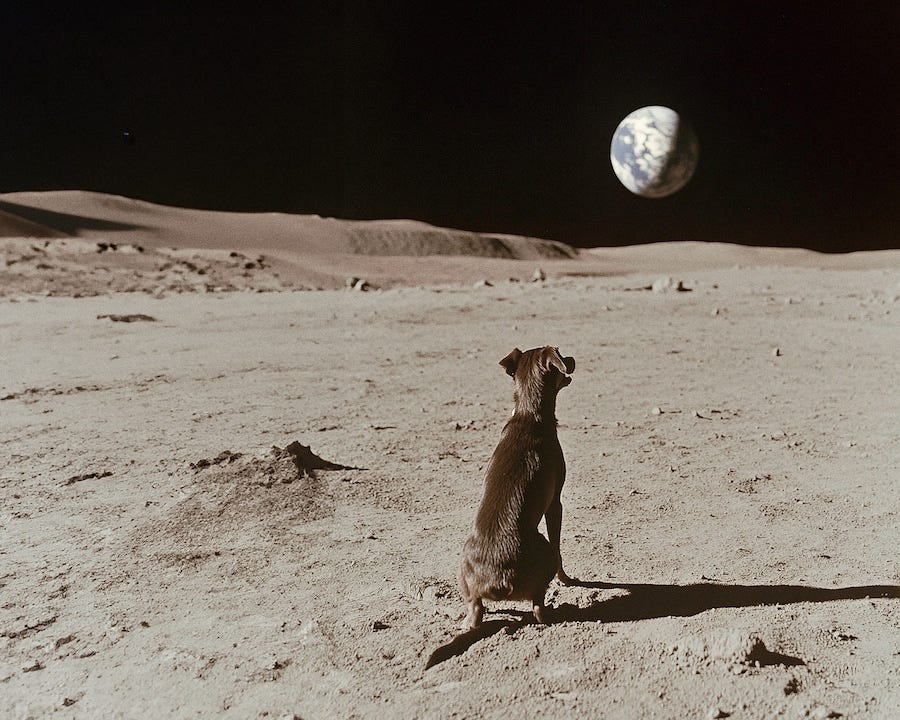 Earth Is a Ball, FAIK Magazine, 2025 6