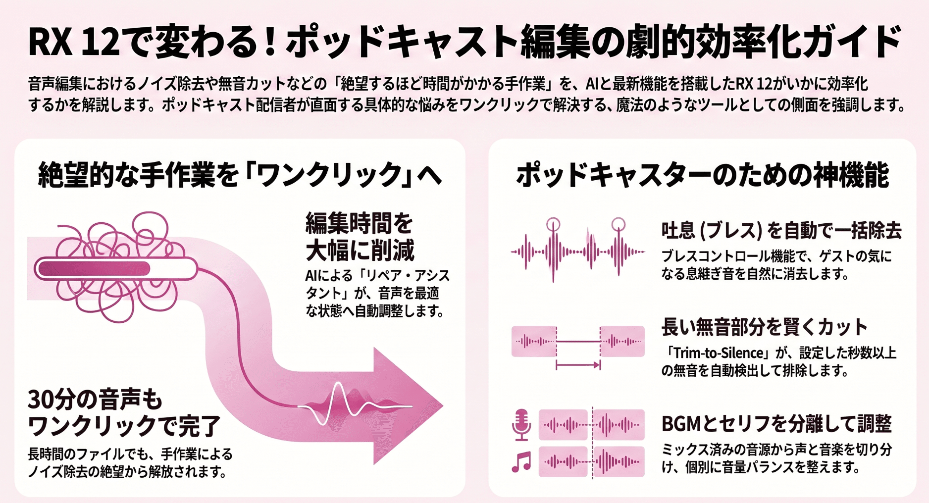 そのノイズ除去、まだ手作業でやってるの？RX12なら1クリックで完了し