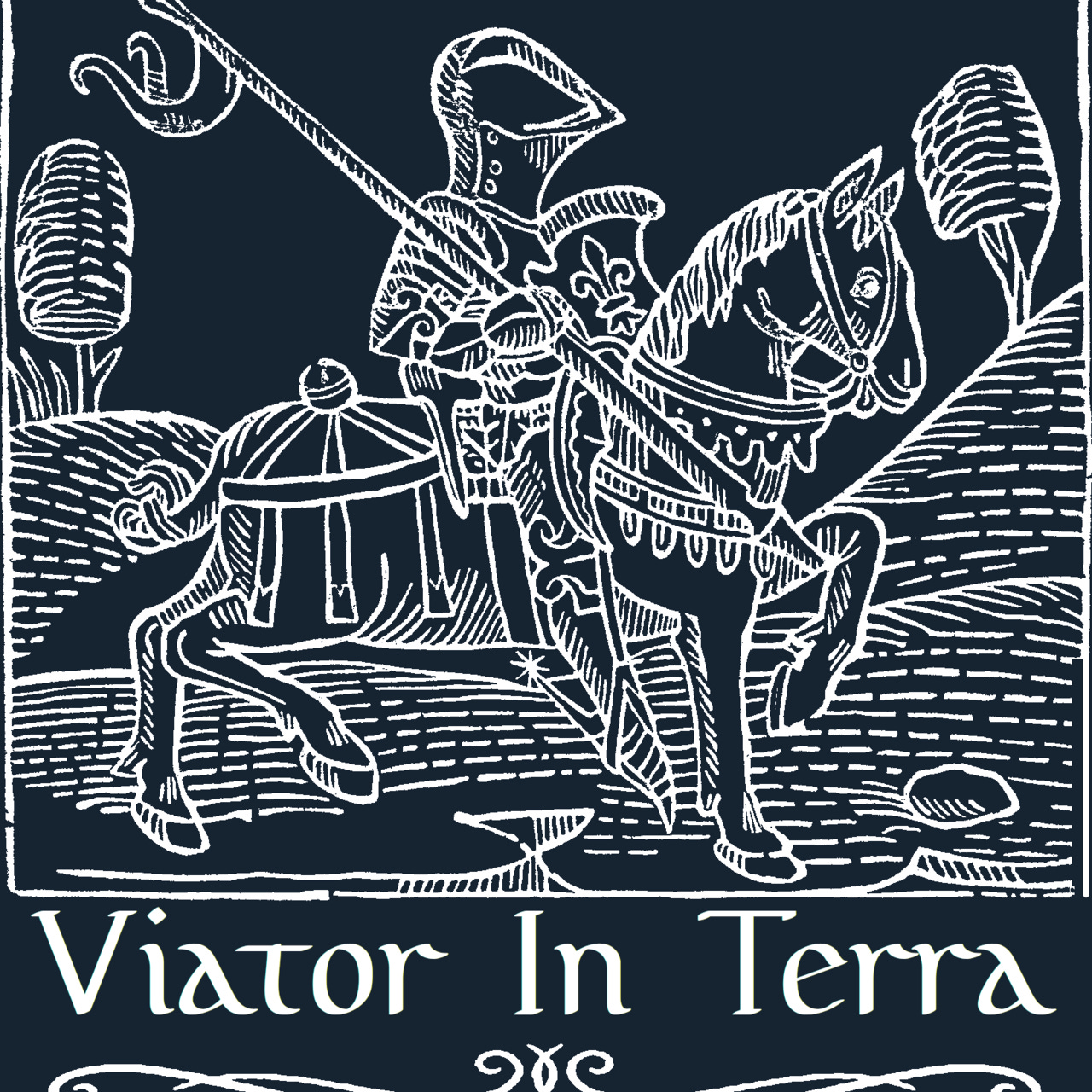 Viator in Terra