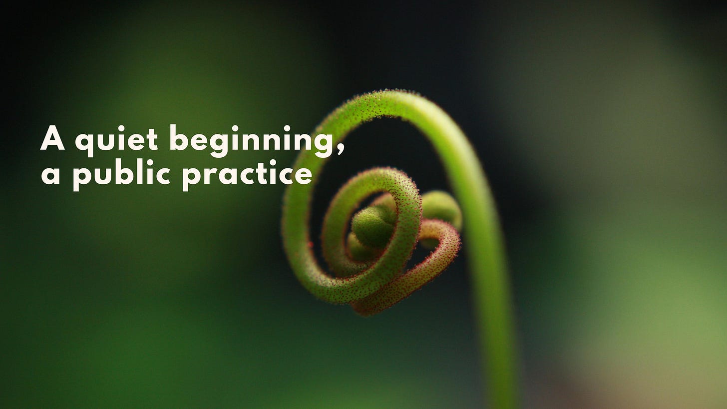 A close-up of a young green fern frond curled in a spiral against a soft, blurred green background. Overlaid text reads: “A quiet beginning, a public practice. A close-up of a young green fern frond curled in a spiral against a soft, blurred green background. Overlaid text reads: “A quiet beginning, a public practice.