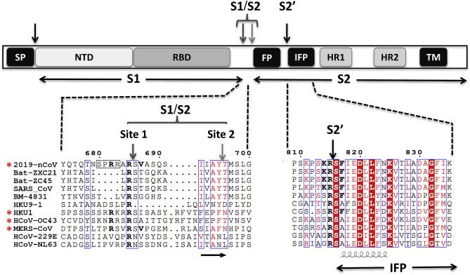 Fig. 2