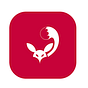 Zenfox Labs's avatar