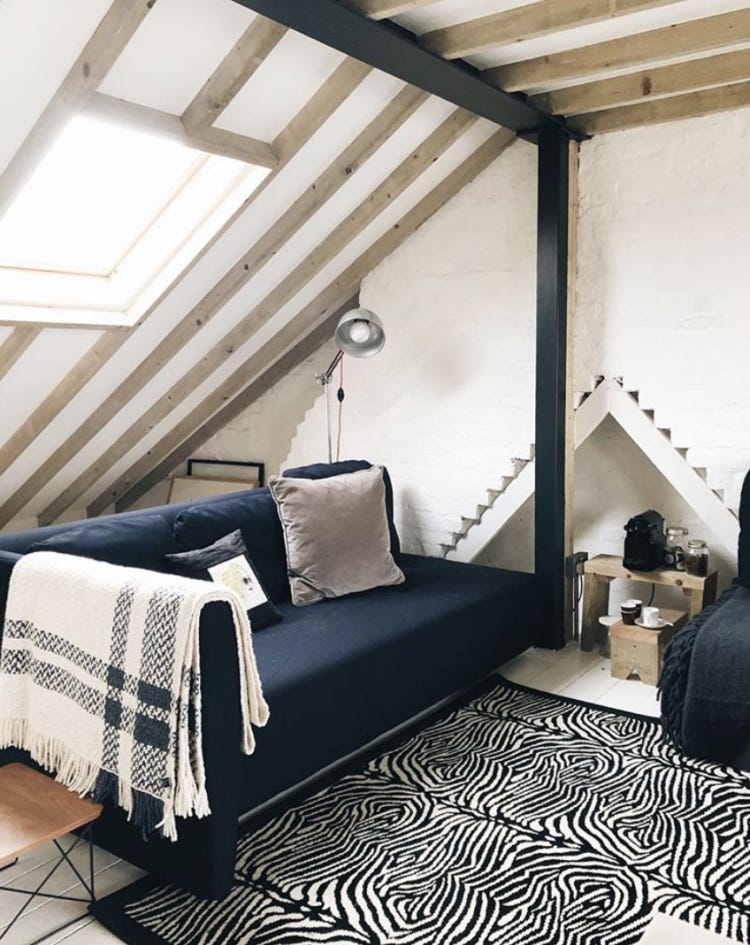 zebra rug by alternative flooring zebra rug by alternative flooring