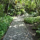 (6.) A.R. Orage - HOW TO LEARN TO OBSERVE