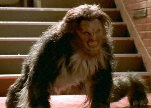 Michael May: 31 Werewolves | Oz