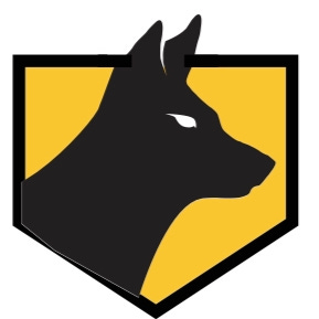 The Wild Dog Write-Up - Running, Racing, & Adventure