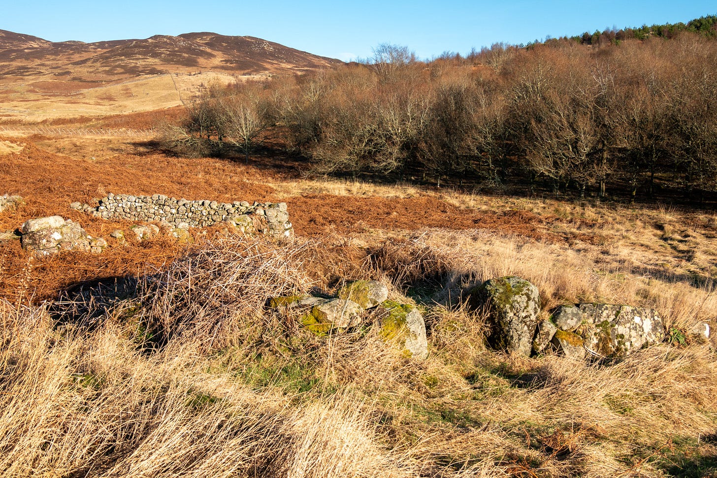 The ruins of a building with an enclosure behind at the deserted township of Balmenoch © Felicity Martin