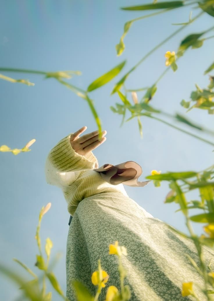 May be an image of grass May be an image of grass