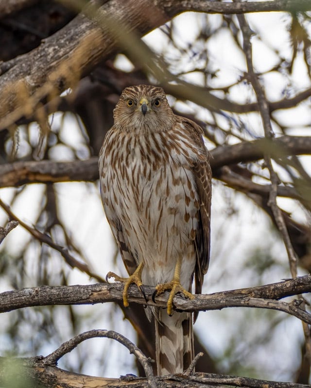 20250315-Sweetwater-865-Edit.jpg 20250315-Sweetwater-865-Edit.jpg