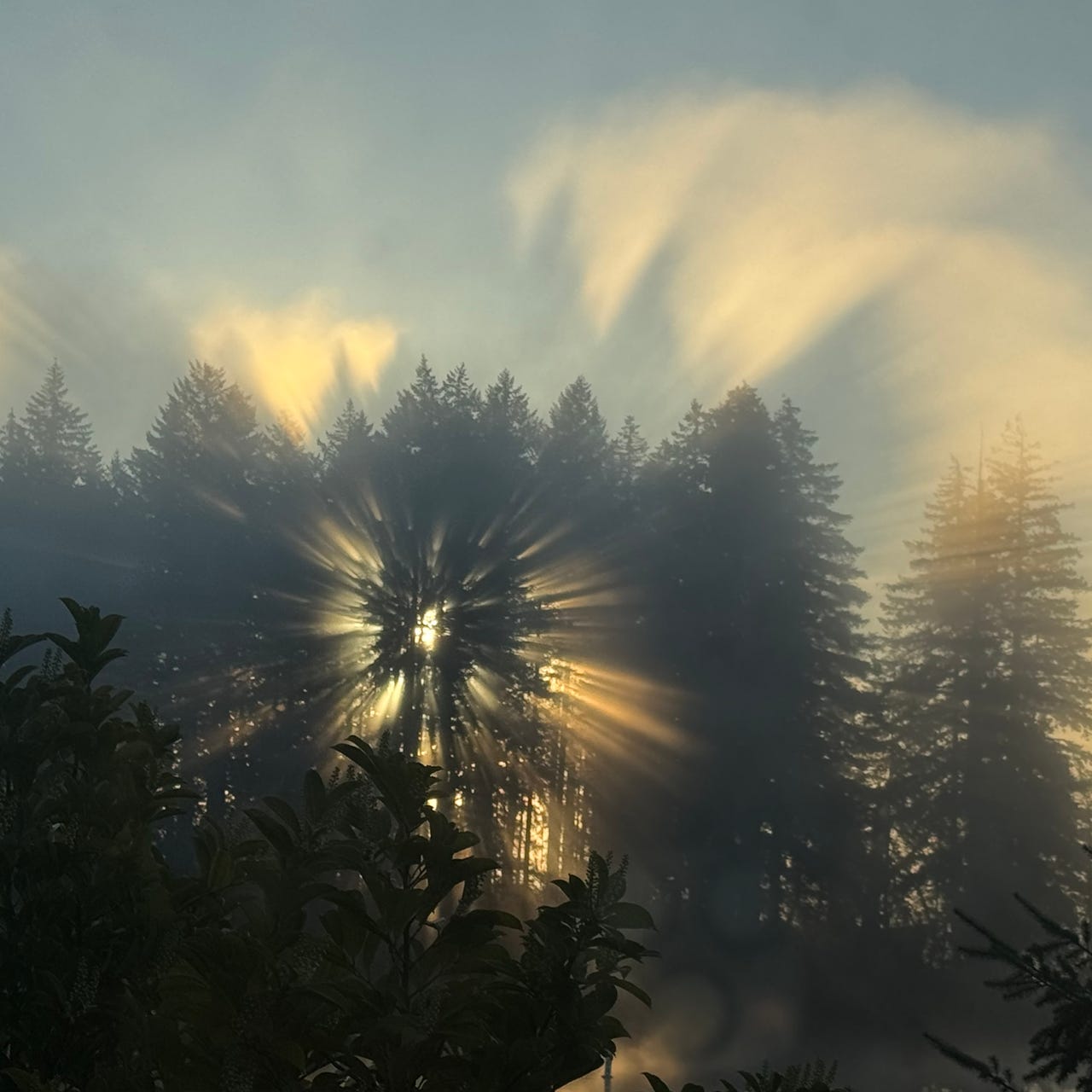 Wray of Light