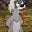 Gurgi's avatar
