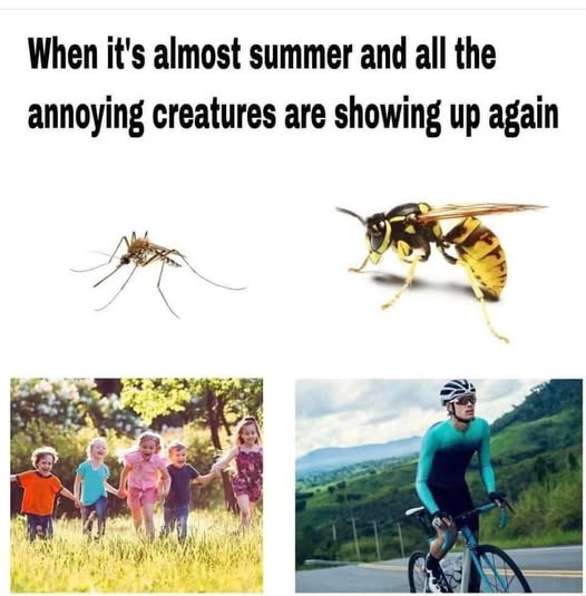 May be an image of text that says 'When it's almost summer and all the annoying creatures are showing up again'