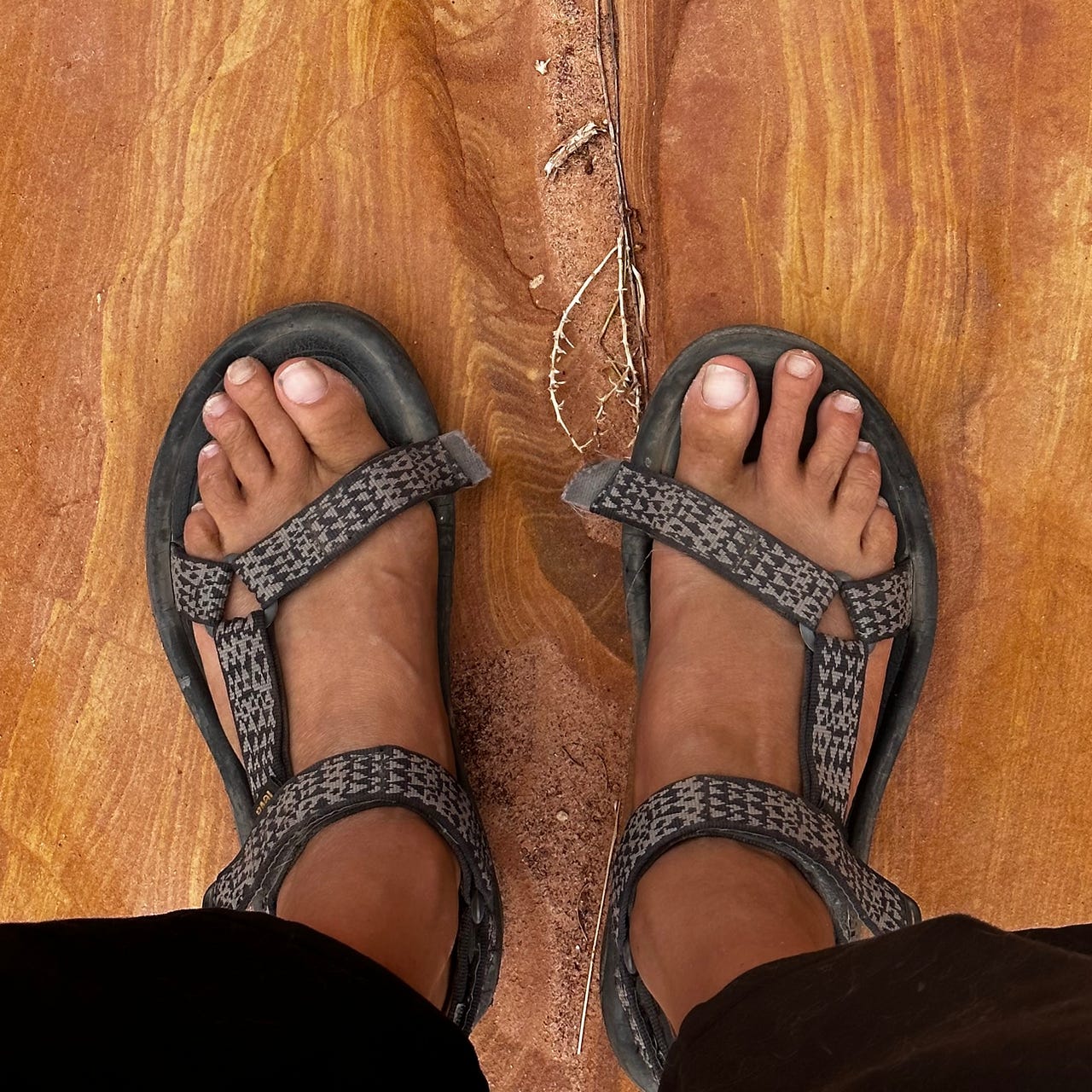 Clouds and Water: Field Notes from a Zen Pilgrim