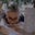 Bobi Peavy's avatar