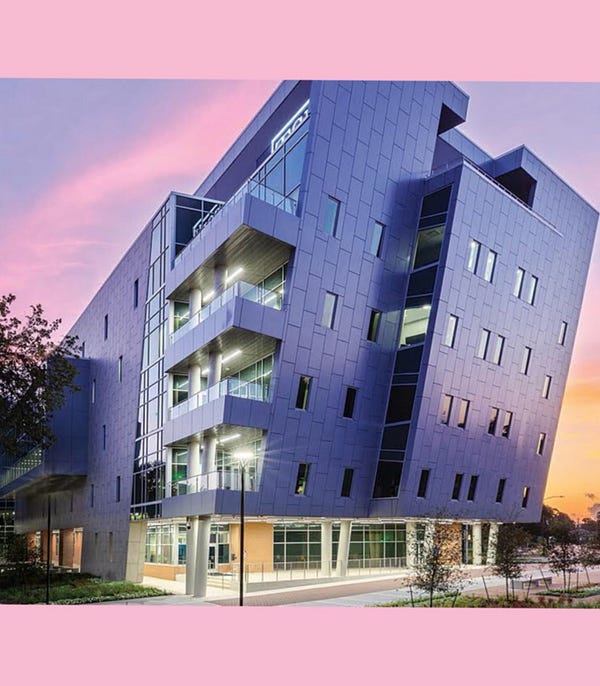 A large geometric periwinkle building