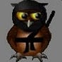 Ninja Eule's avatar