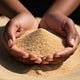 Holding Sand