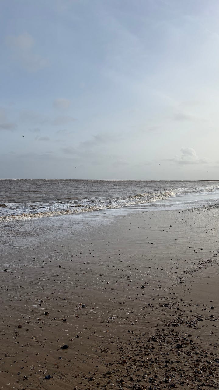wintery beach walk with a beagle 