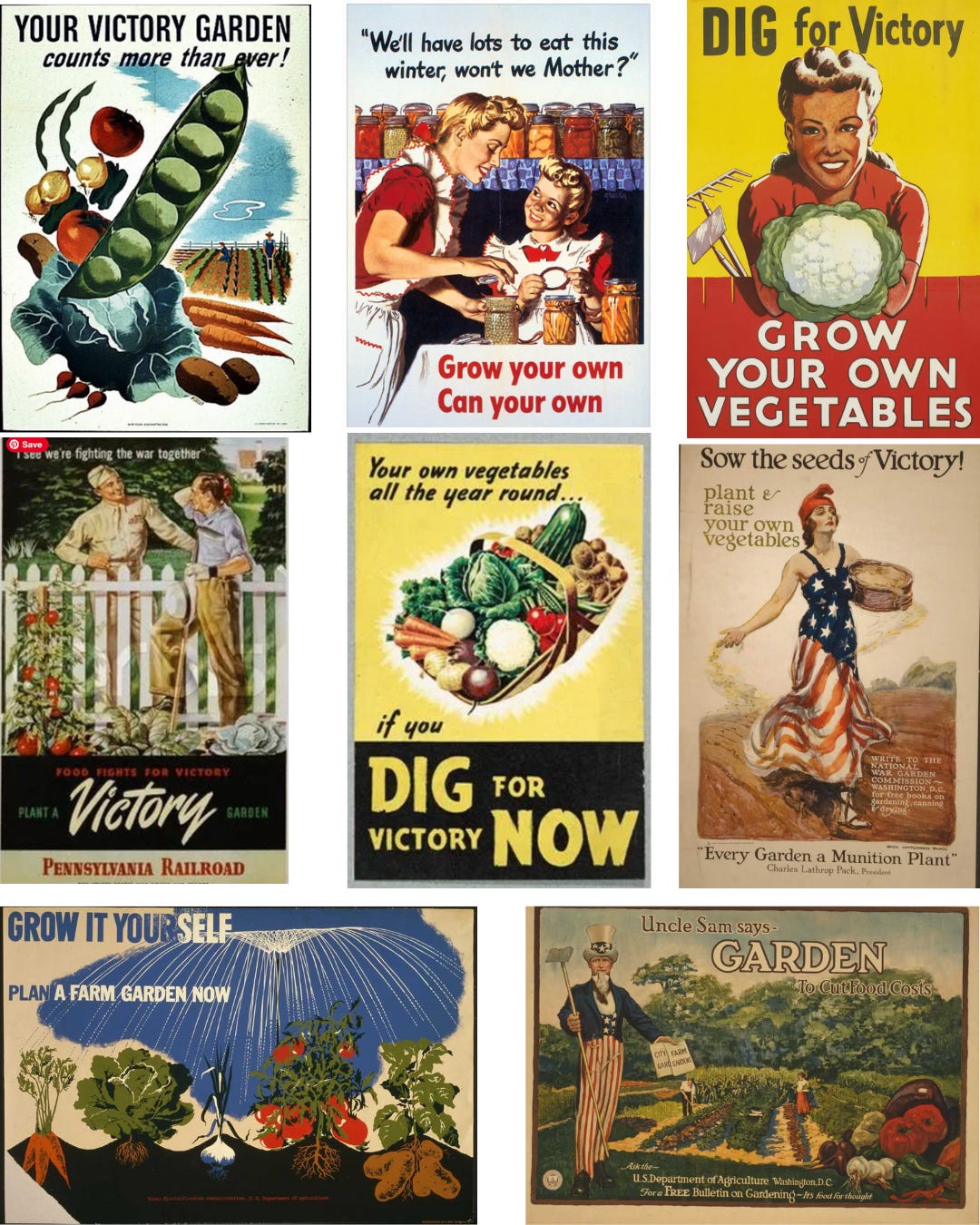 victory gardens 🤝 resistance gardens - by Amy Bauer, image size:1080x1350