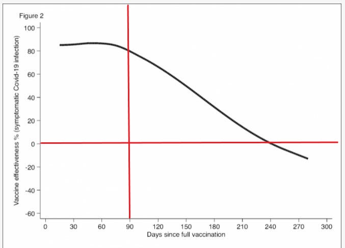 boriquagato.substack.com