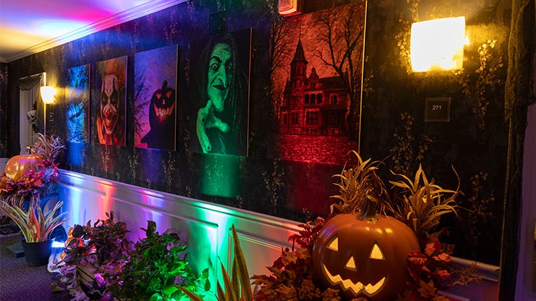 The image shows a hotel hallway decorated for Halloween. There are colorful spotlights cast on various plants and a large carved pumpkin with a glowing face. On the wall, there are five paintings, each featuring Halloween-themed images such as a ghostly figure, a witch, and a haunted house. The overall atmosphere is spooky and festive. The image shows a hotel hallway decorated for Halloween. There are colorful spotlights cast on various plants and a large carved pumpkin with a glowing face. On the wall, there are five paintings, each featuring Halloween-themed images such as a ghostly figure, a witch, and a haunted house. The overall atmosphere is spooky and festive.