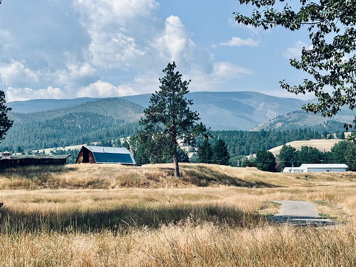 trees, trails, water, bridge, house, mountains