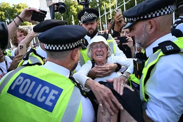 Labour Minister Defends Arrest Of Elderly Woman For Holding Sign At Palestine  Action Demo