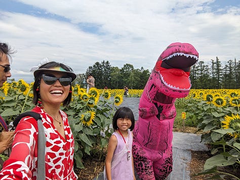 Hokuryu Sunflower Festival