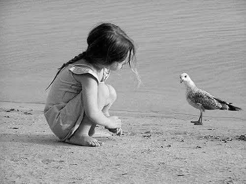 May be a black-and-white image of child and sea bird