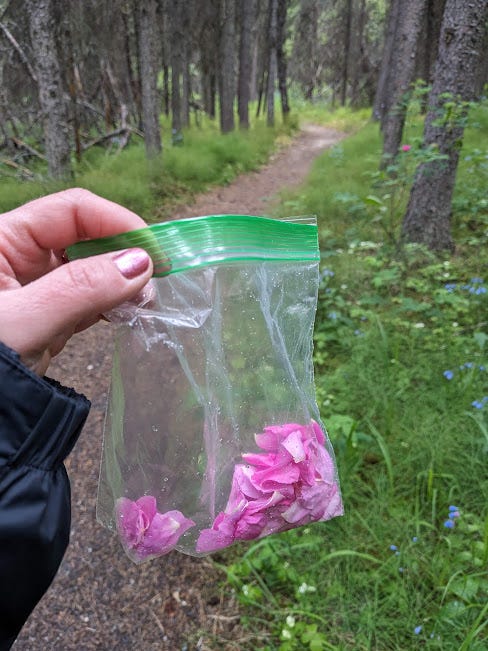 bag of rose petals