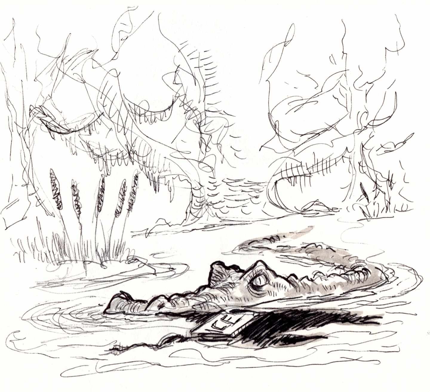 Ink wash sketch of an alligator in a swamp.