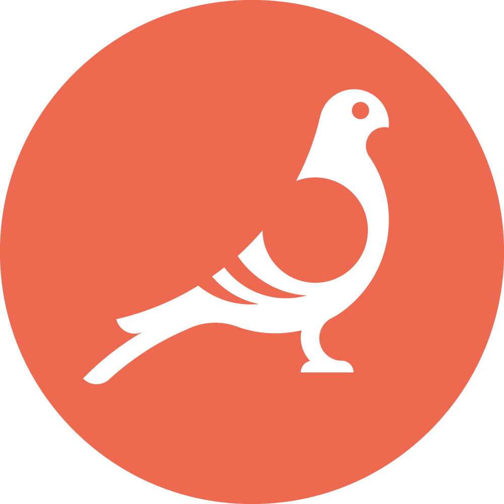 Substack profile picture for @pigeon