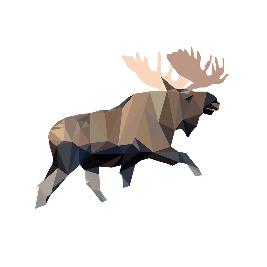 Jamie Walter | Stills + Motion