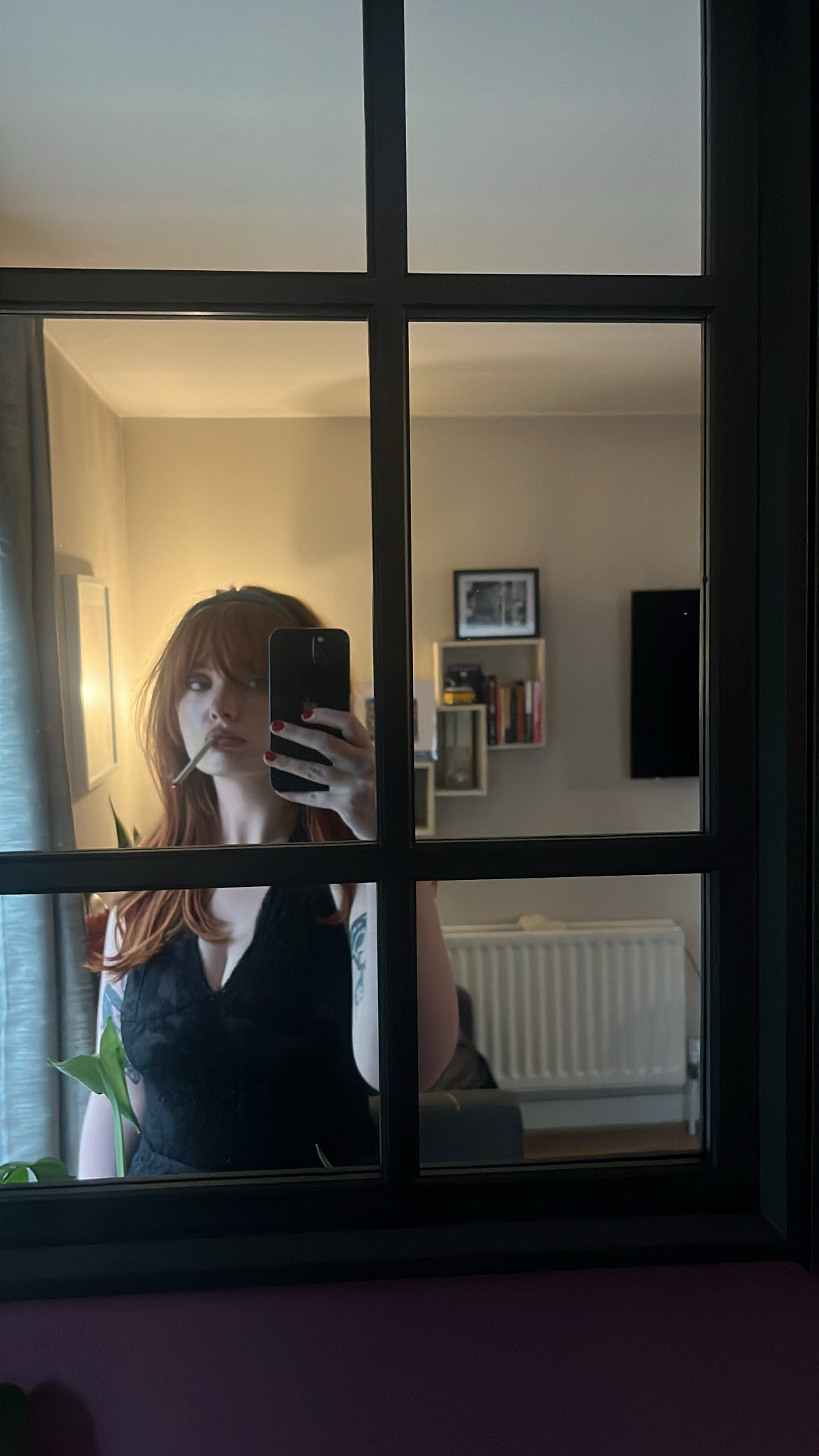 The Dirtbag Dispatch