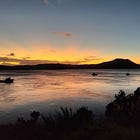 Winter 2022 in Pukenui – FAQs