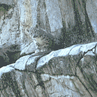 Mission Accomplished! Tabs, Fri., April 10, 2026