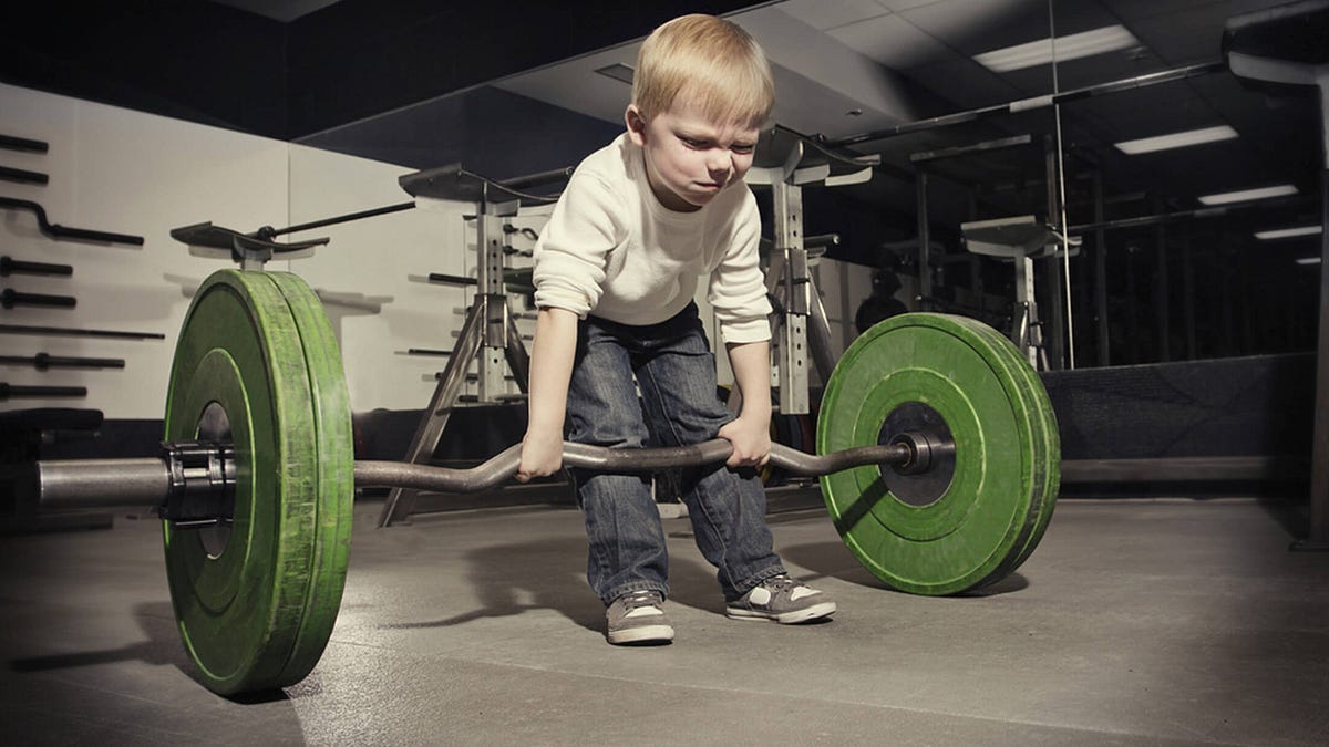 Hardware Outperforms Software While Crypto Loses Value