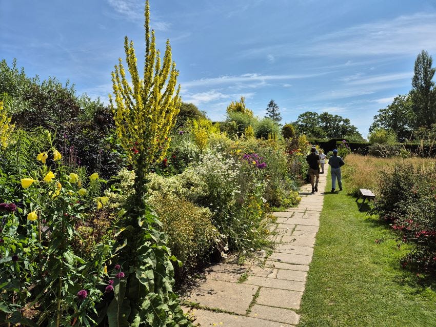 Long Border at Great Dixter copyright Anne Wareham 