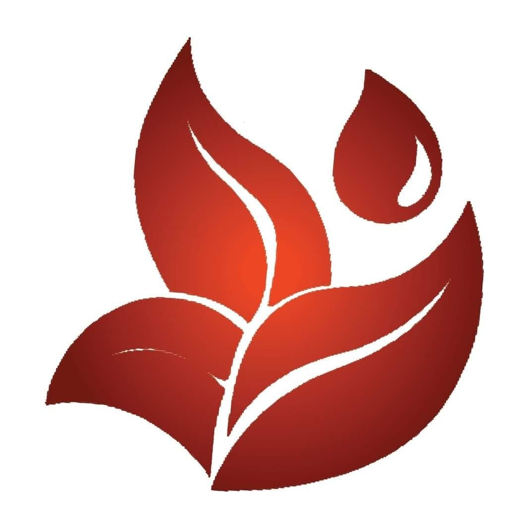 Unfiltered Consciousness