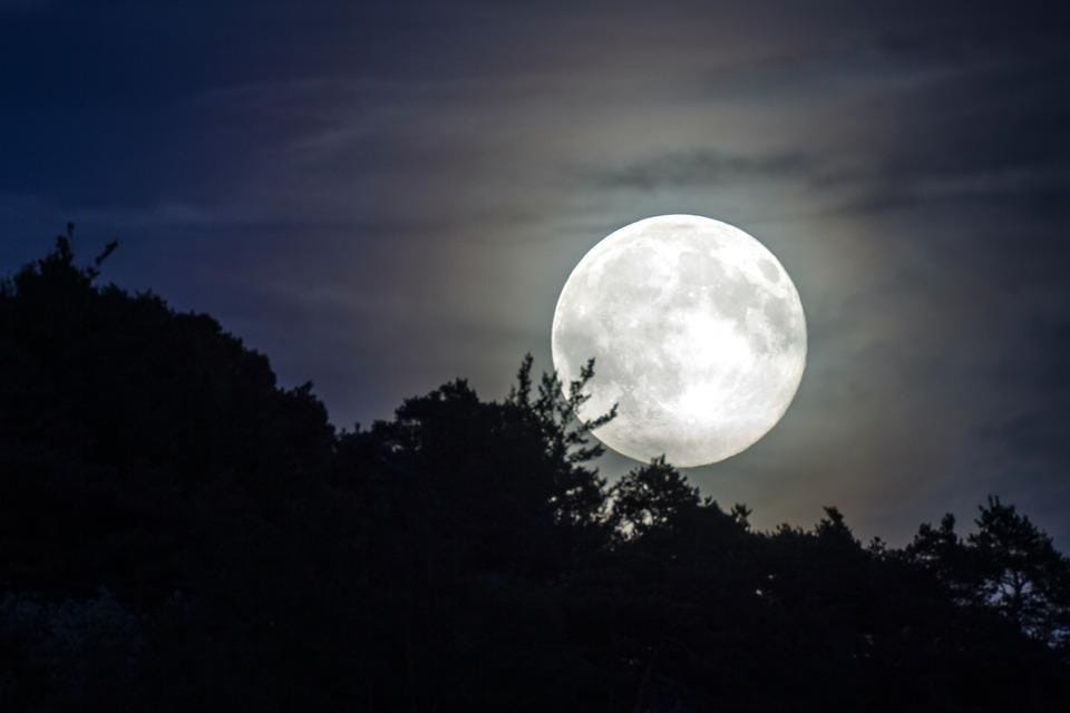 super worm mooon super worm mooon