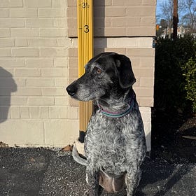 Psalm 15 - Measuring Up