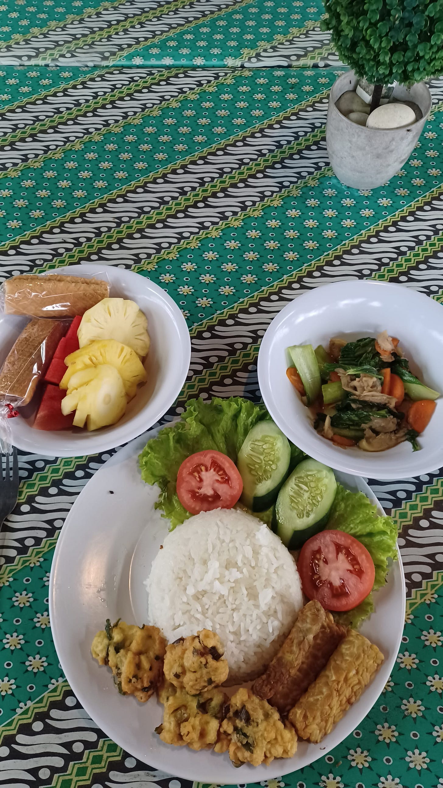 Volunteering in Bali