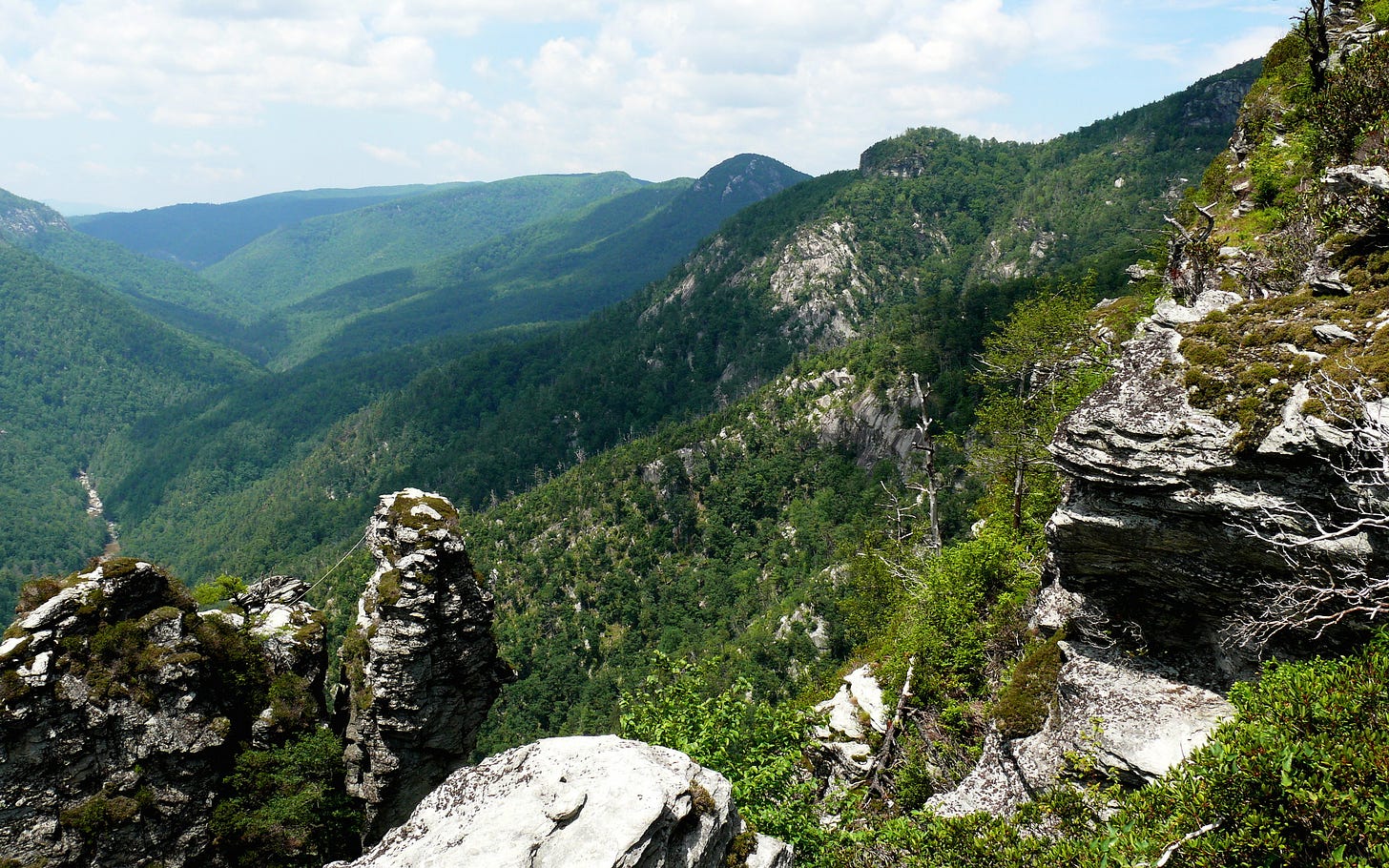 Linville_Gorge-27527-5
