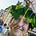 Emily Cleaver's avatar