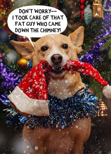 Christmas Cards Dogs, Funny Cards - Free postage included