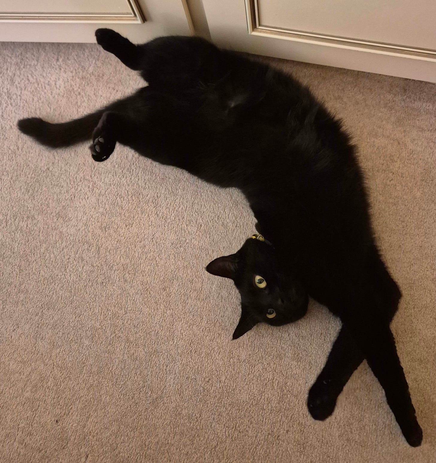 Mocha doing her impression of a banana